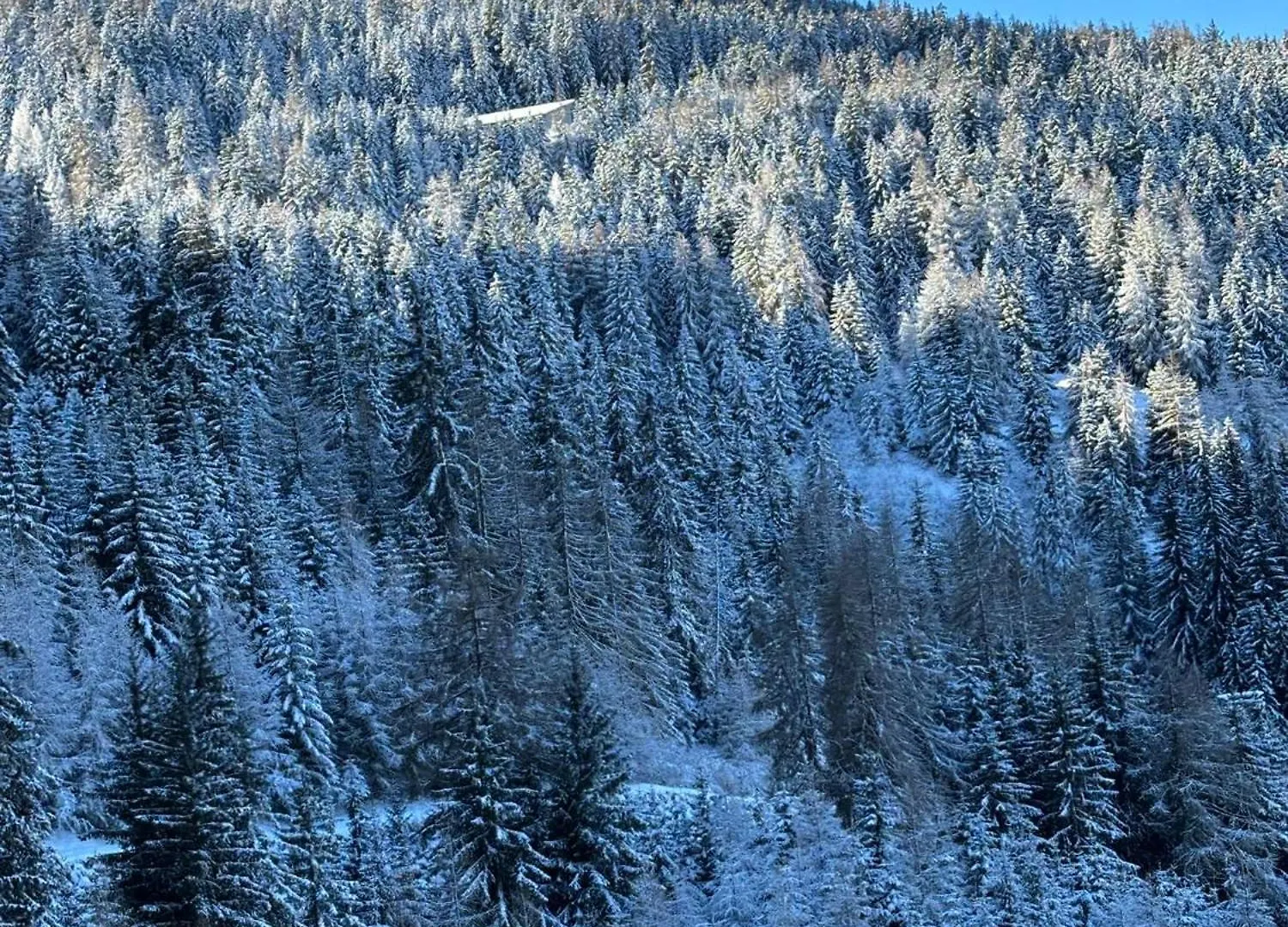 Appartement 4 Personnes Dans Le Mythique Paquebot Des Neiges A La Plagne Francie